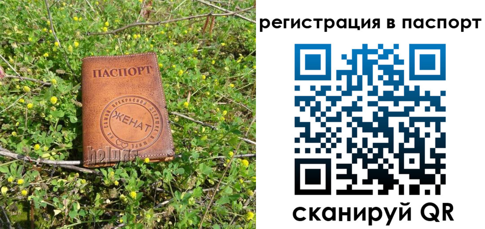 прописка законно в Кольчугино